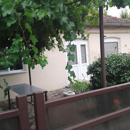 Pensiunea Casa Didina Бакэу Экстерьер фото
