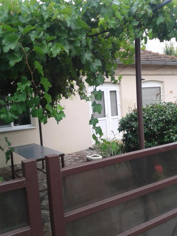 Pensiunea Casa Didina Бакэу Экстерьер фото