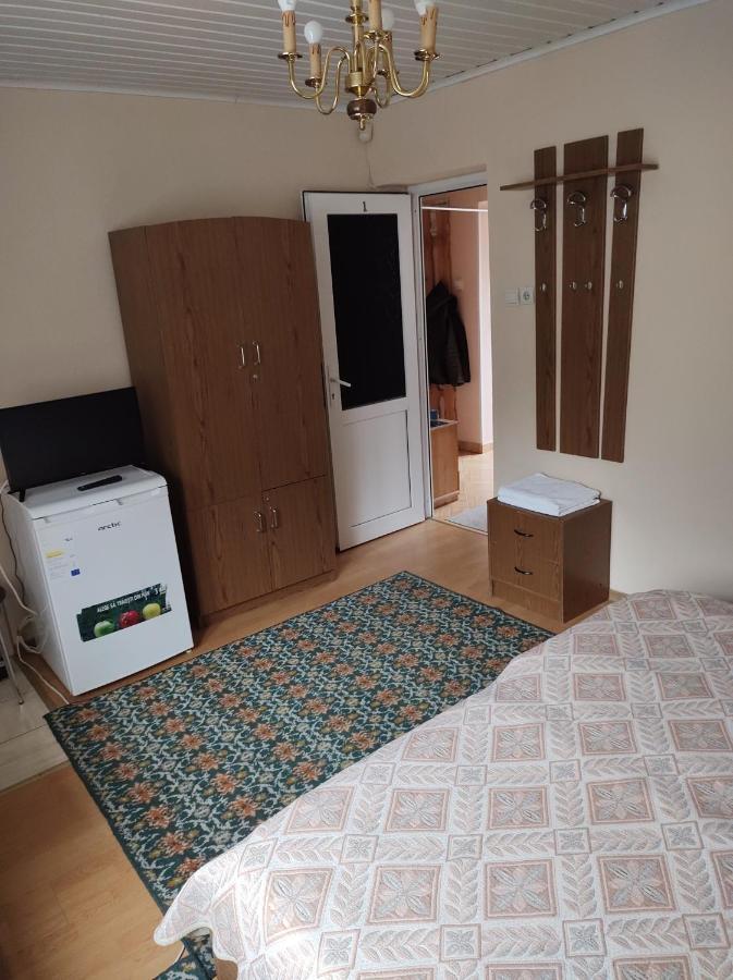 Pensiunea Casa Didina Бакэу Экстерьер фото